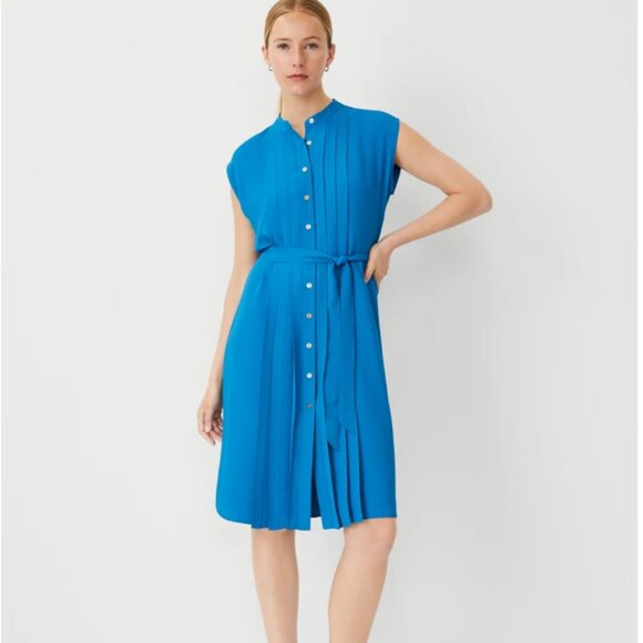 Ann Taylor Tall Pleated Belted Dress - Picture 1 of 5